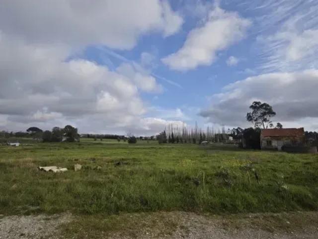 Terreno venda em Montemor-o-velho, Coimbra