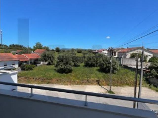 Casa venda em Coimbrã, Botão