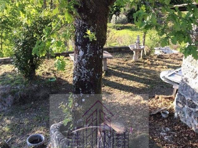 Casa venda em Penalva de Alva, Penalva De Alva