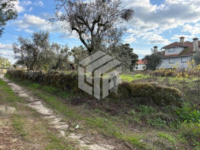 Terreno venda em Fiais da Beira, Coimbra