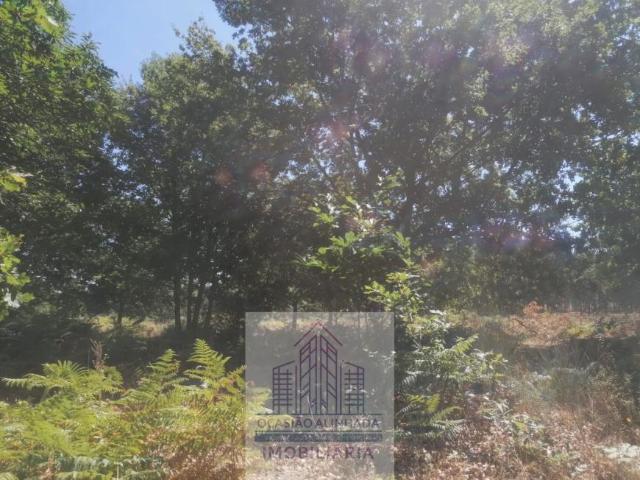 Terreno venda em Chamusca da Beira, Coimbra