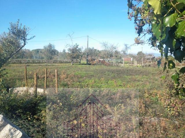Terreno venda em Lagares Da Beira, Coimbra