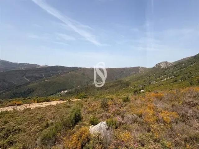 Terreno venda em Pampilhosa Da Serra, Coimbra