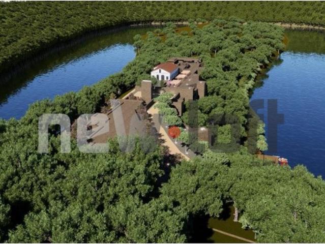 Terreno venda em Cunhedo, Penacova