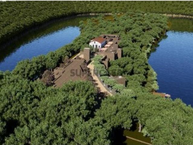 Terreno venda em Guarda