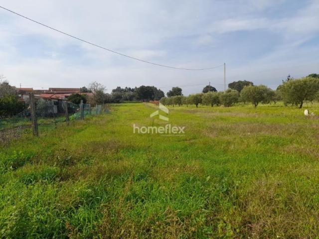 Terreno venda em Carvalhal da Azoia, Soure
