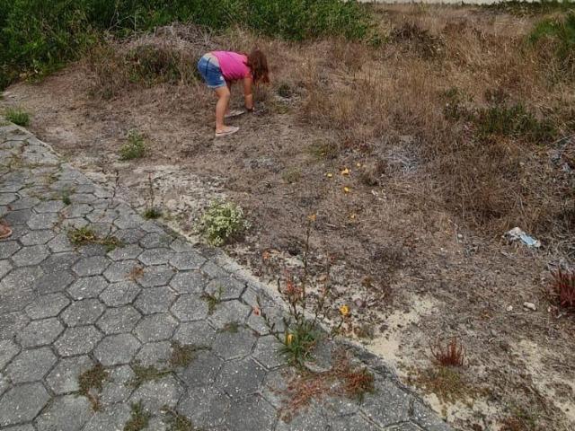 Terreno venda em Aveiro