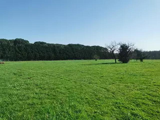 Terrain vente à Langon, Coimères