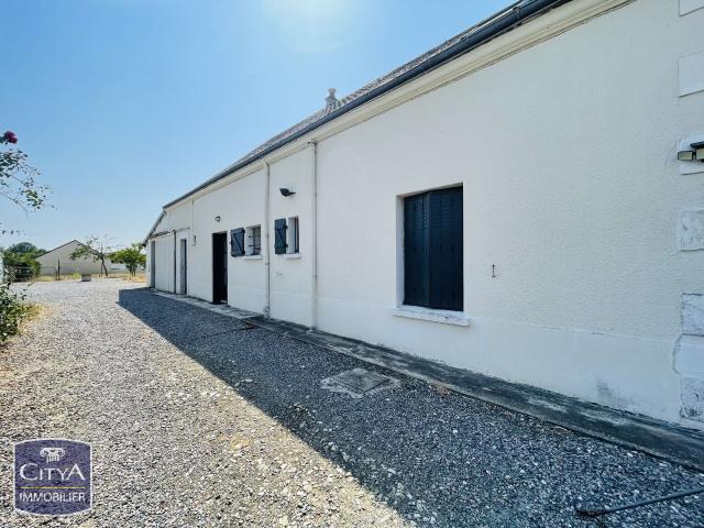 Maison vente à Châteauroux, Coings