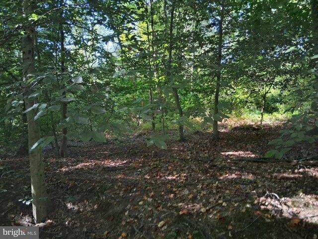 Land for sale in Cecil, Maryland