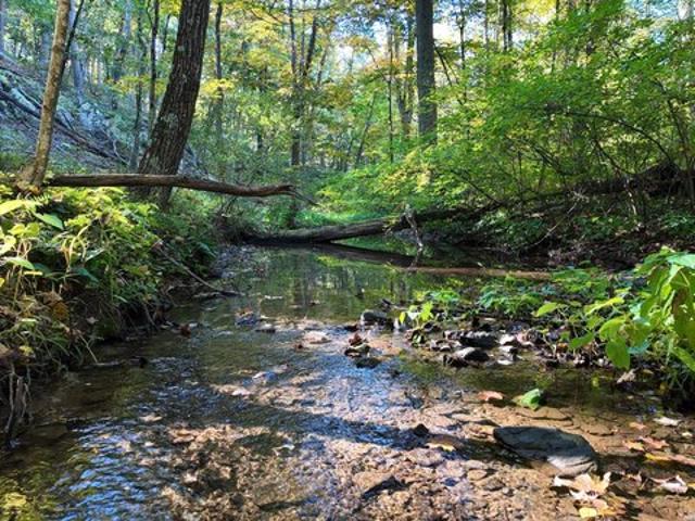 Land for sale in Bath, Morgan County