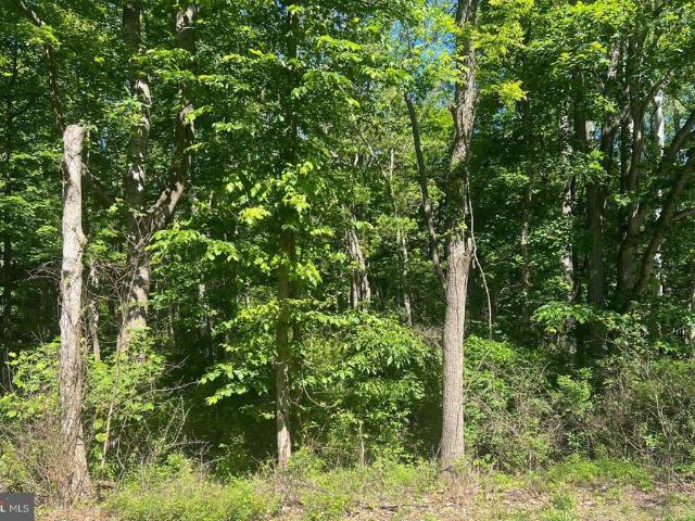 Land for sale in Berkeley Springs, West Virginia
