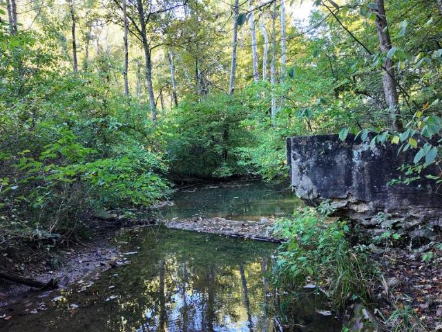 Land for sale in Bath, Morgan County