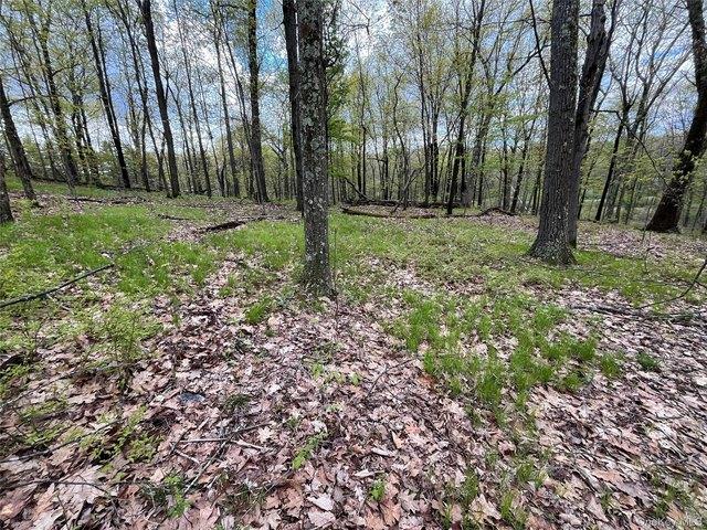 Land for sale in New York