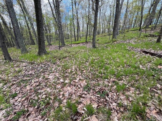 Land for sale in New York