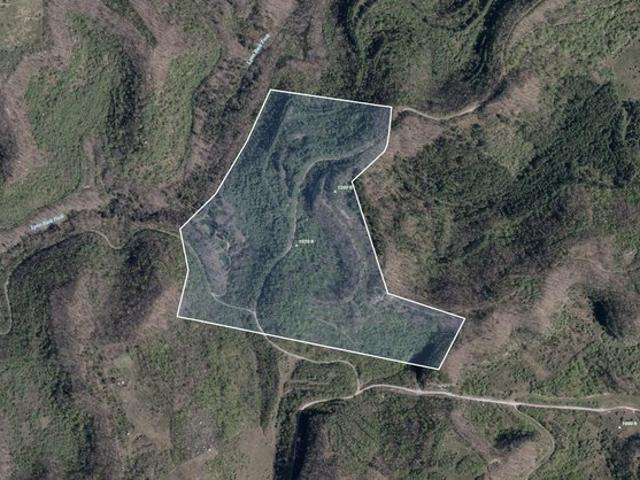 Land for sale in Inez, Kentucky