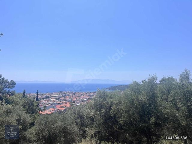 Menderes, İzmir içerisinde satılık mülk