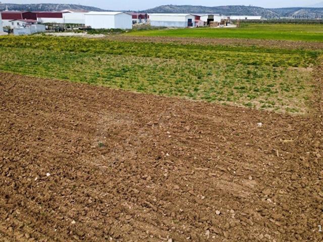 Menderes, İzmir içerisinde satılık Arsa