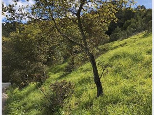 Land for sale in San Rafael, California