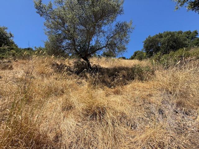 Property for sale in Cerro, San Rafael