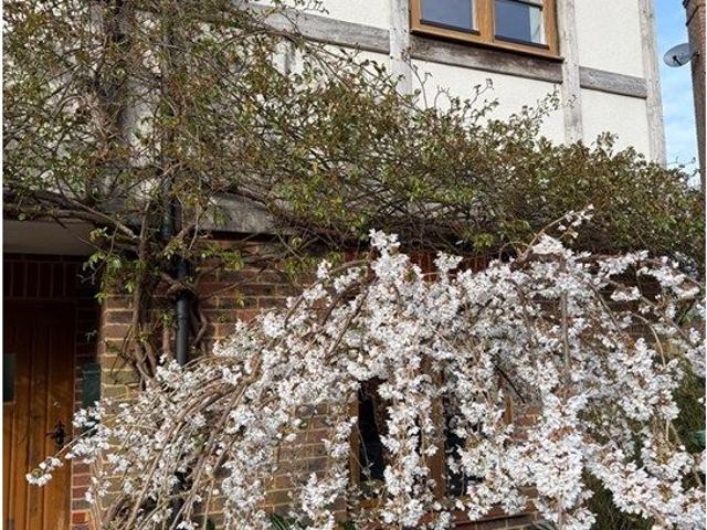 House for rent in Hurst Green, Heathlands