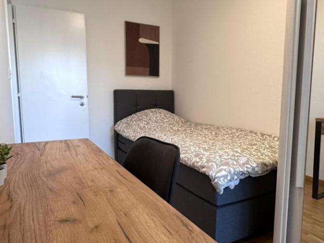 Apartment mieten in Moillesulaz, Thônex