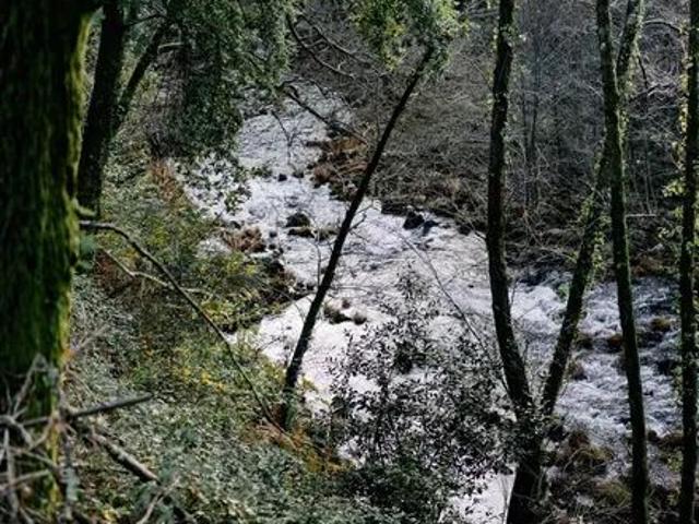 Quarto alugar em São Pedro de Castelões, Vale de Cambra