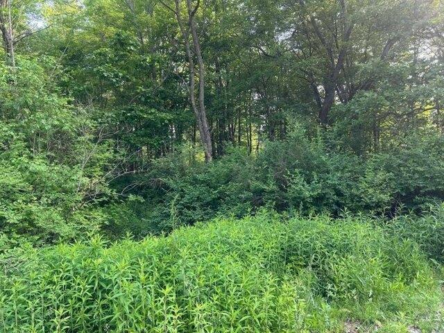 Land for sale in Ballston Spa Land for sale in Ballston Spa