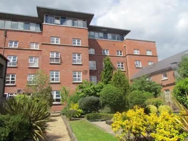 Apartment to rent