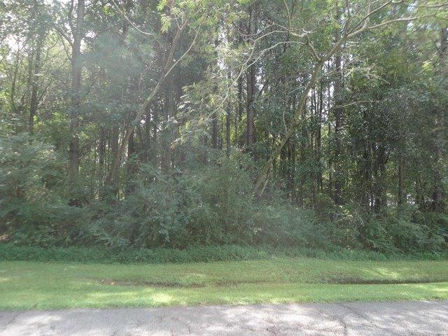 Land for sale in Hanceville, Alabama