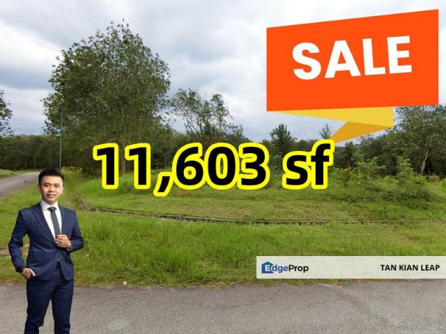 House for sale in Negeri Sembilan