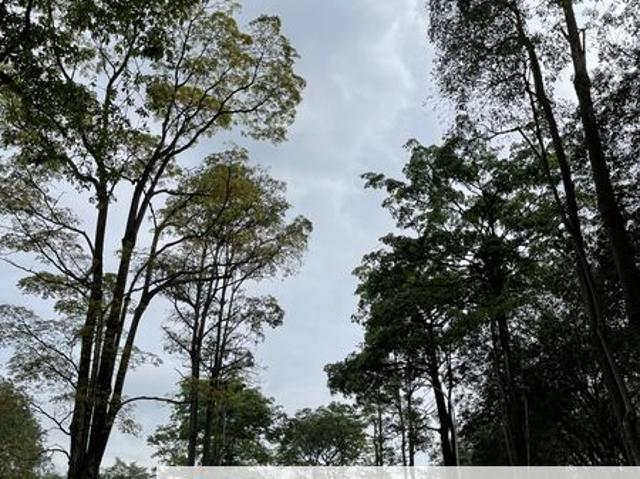 House for sale in Negeri Sembilan