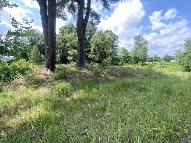 Land for sale in Southwick, Hampden County