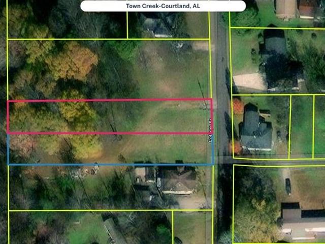 Land for sale in Courtland, Alabama