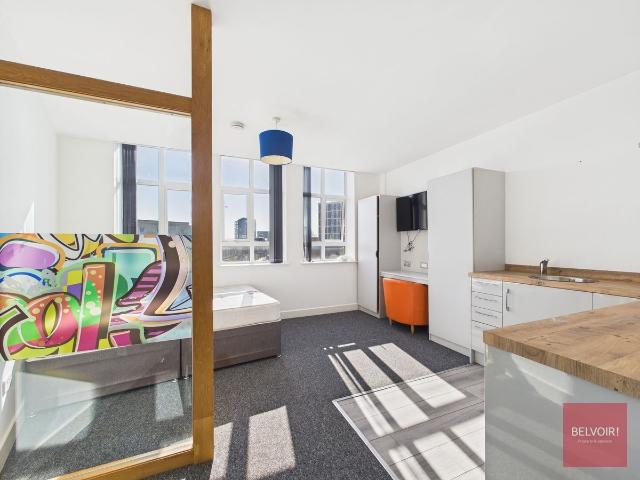 Studio for rent in Mount Pleasant, Nangreaves