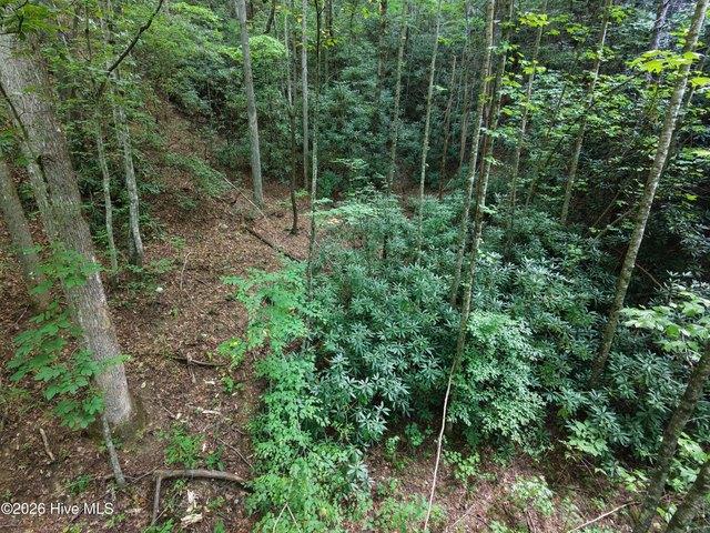 Land for sale in Andrews, Cherokee County