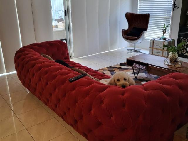 Room for rent in Toombul, Queensland