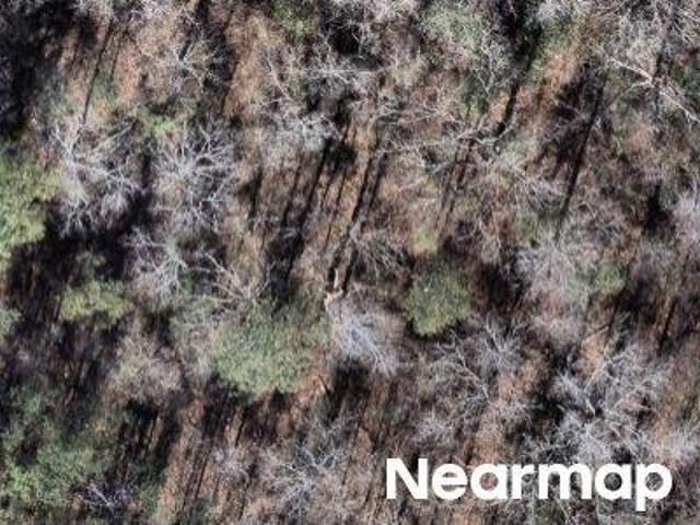 Land for sale in Centerville, Georgia