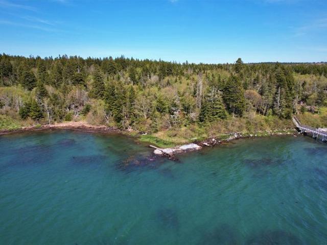 Land for sale in Machiasport, Maine