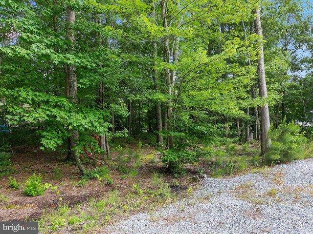 Land for sale in Selbyville