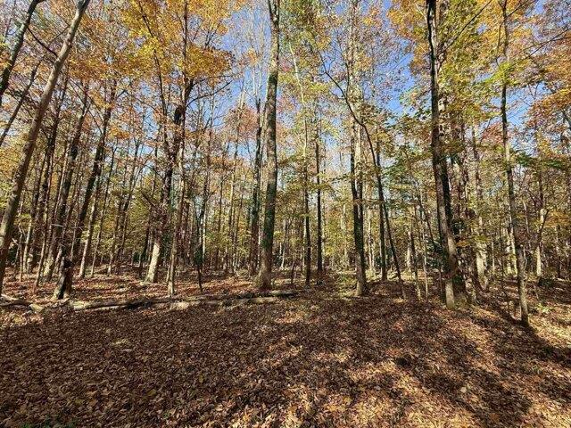 Land for sale in Newport, Vermont