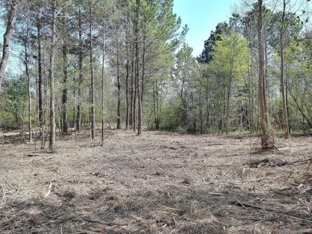 Land for sale in Nash, Texas