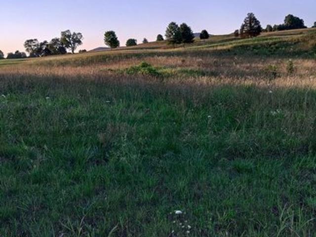 Land for sale in Tennessee