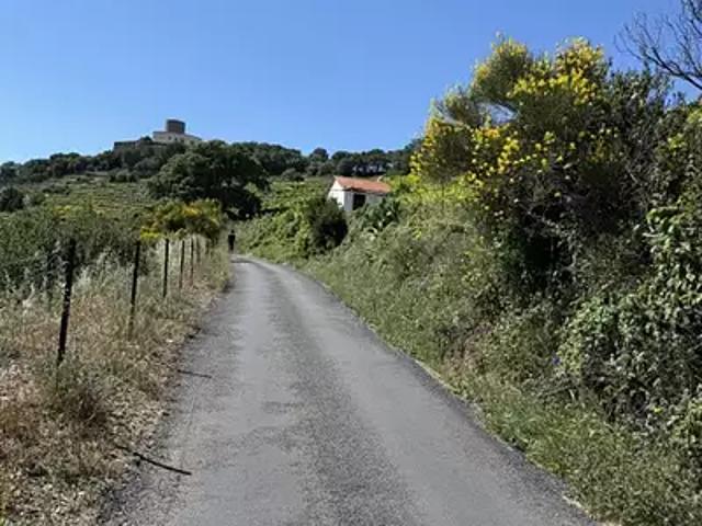 Terrain vente à Céret, Collioure