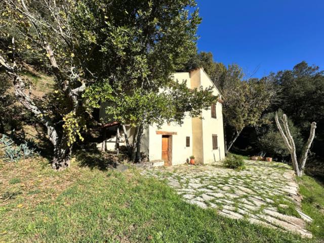 Maison vente à Arrondissement de Toulon, Collobrières