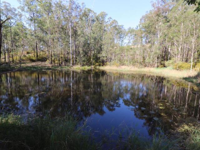 Land for sale in Collombatti, New South Wales