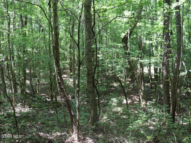 Land for sale in Pontotoc, Mississippi