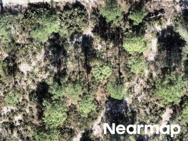 Land for sale in Sebring, Florida