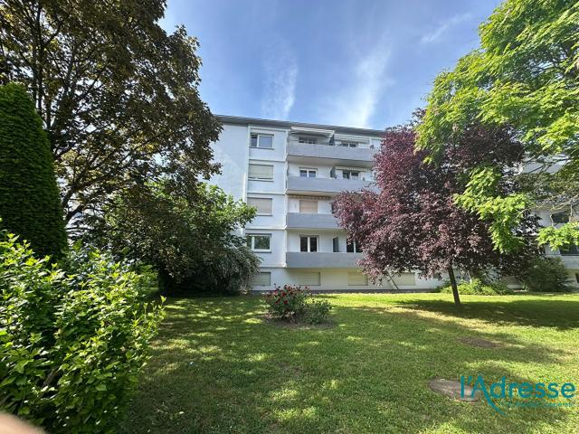 Appartement vente à Colmar-Ribeauvillé, Colmar