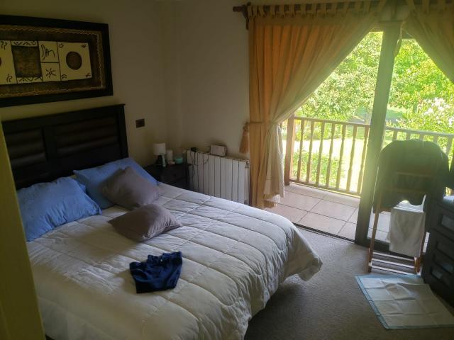 Colo Colo/centro Pucón, Pucón